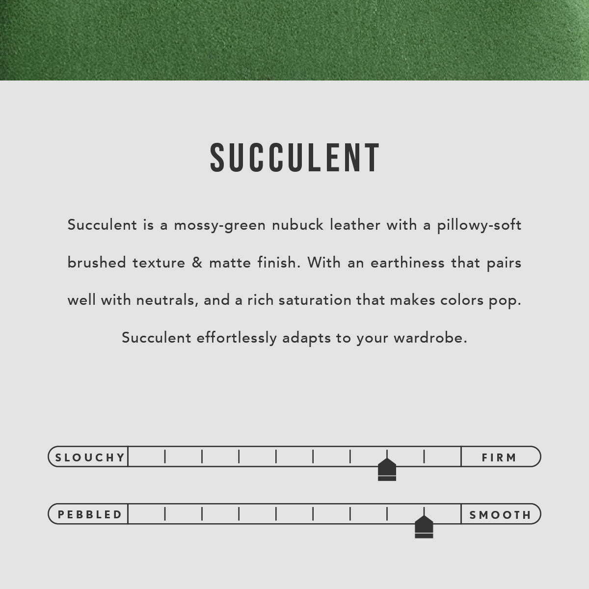 Succulent*Zipper | infographic