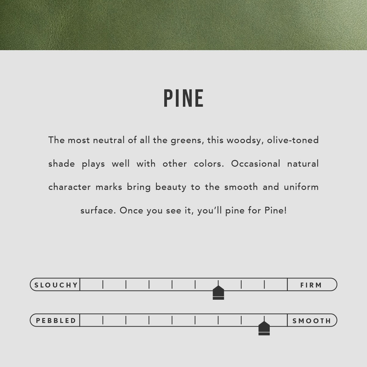 Pine | infographic