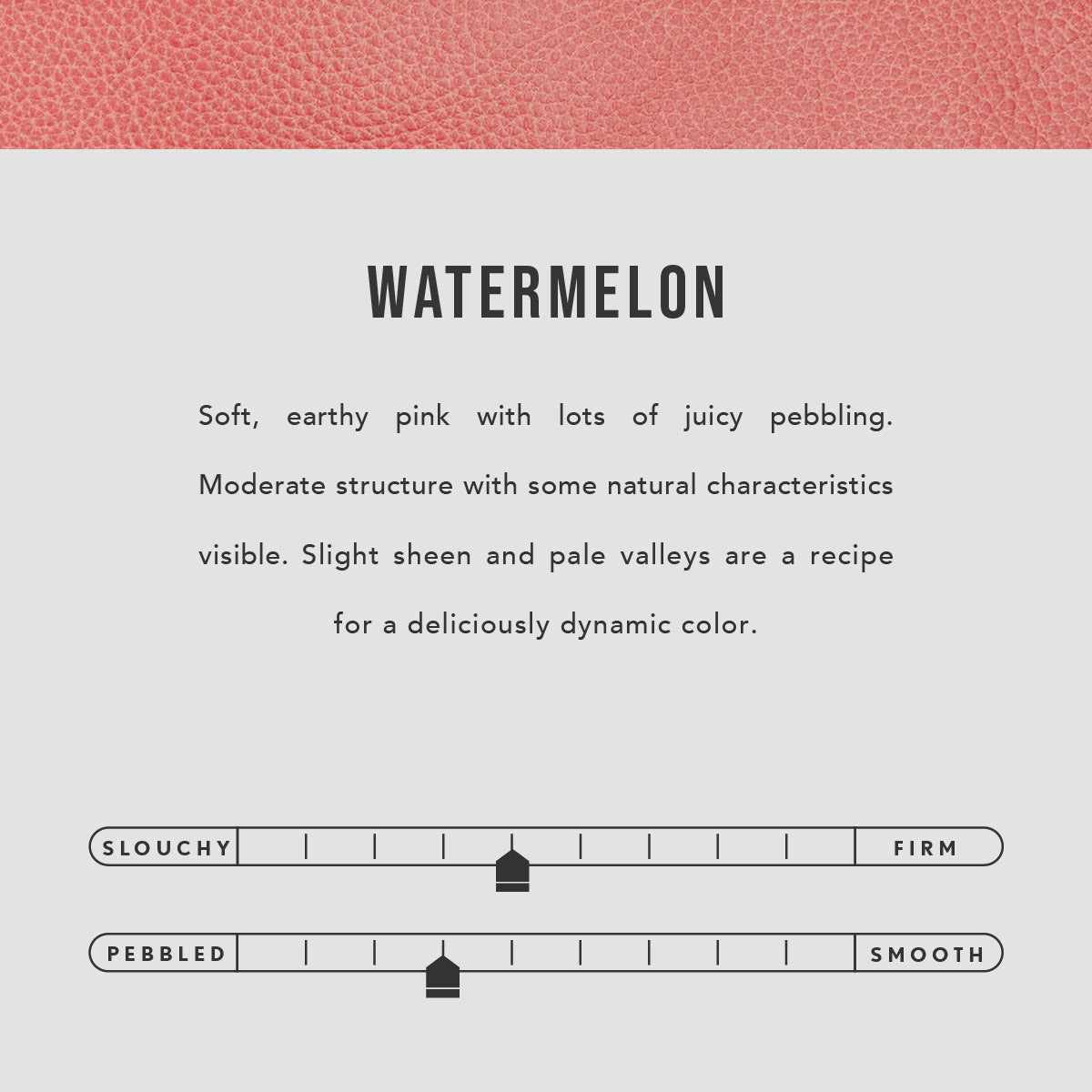 Watermelon | infographic