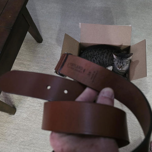 Very comfortable sturdy belt - customer review photo