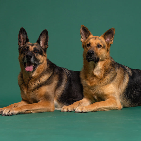 fiona & jax