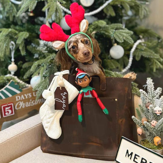 Dog wearing a reindeer headband with Christmas decorations and a tree in the background