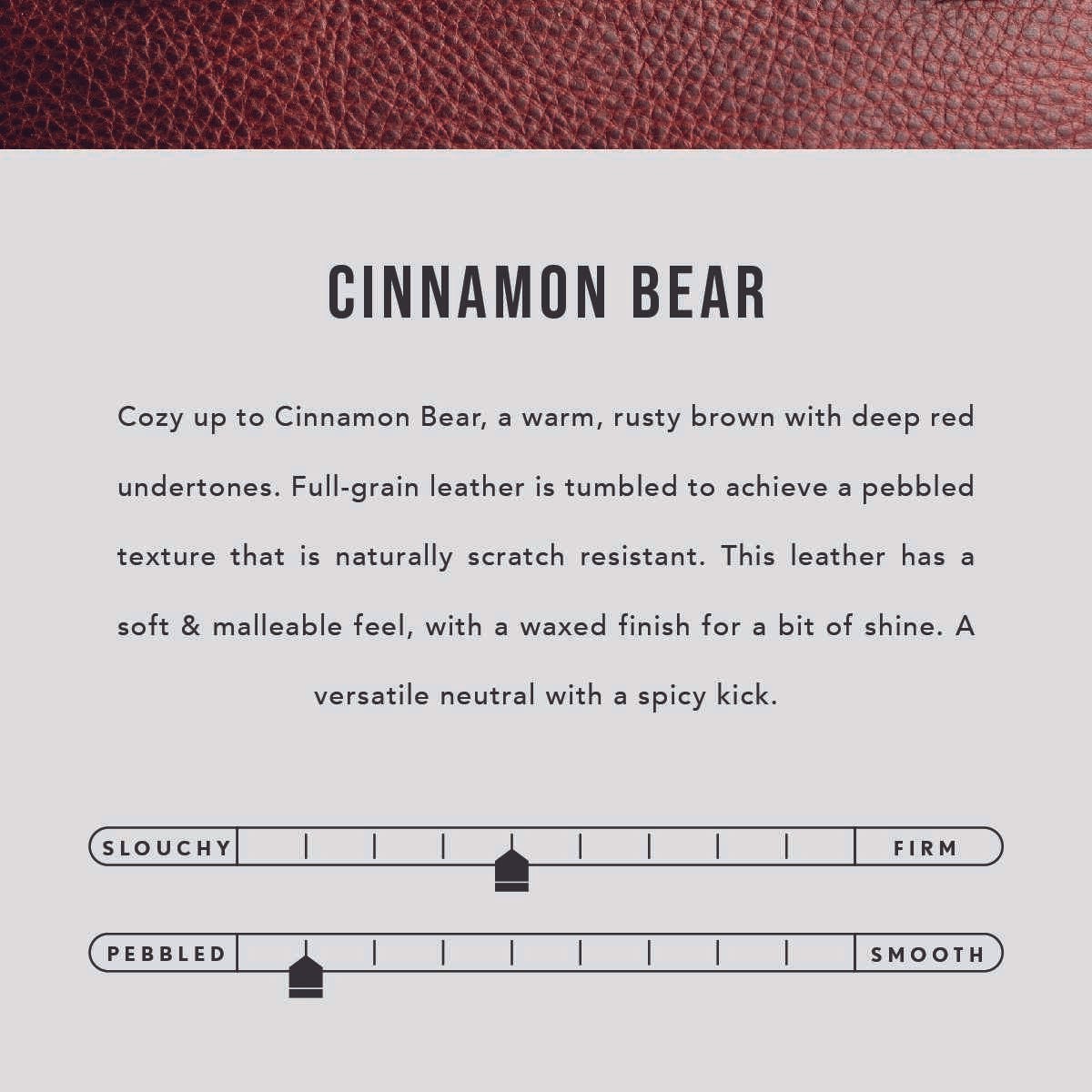 Cinnamon Bear | infographic