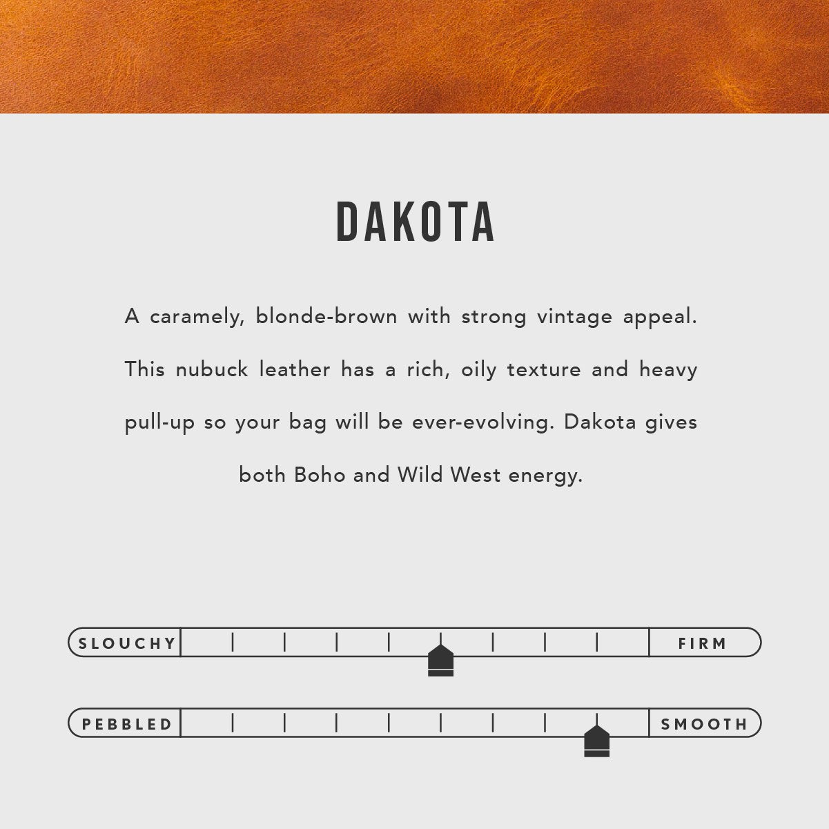 All Color: Dakota | infographic