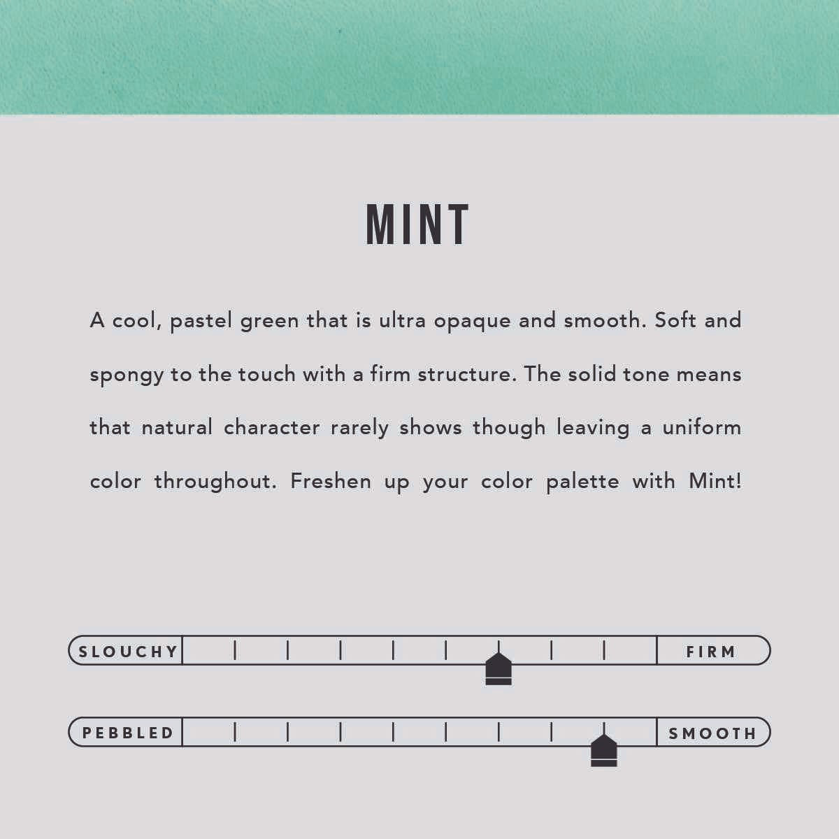 All Color: Mint | infographic