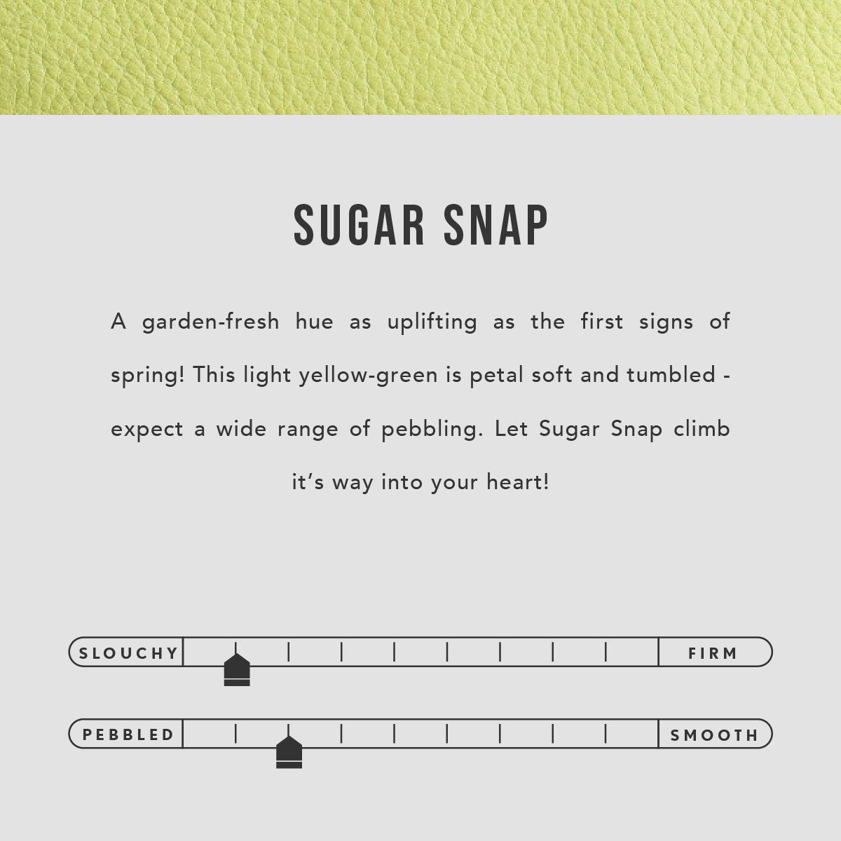Sugar Snap  | infographic