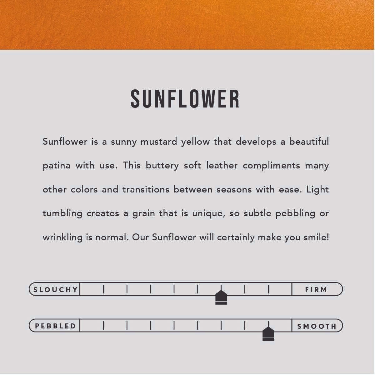 Sunflower  | infographic