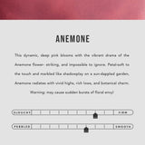 Anemone | infographic