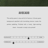 Avocado | infographic