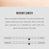 Moonflower | infographic