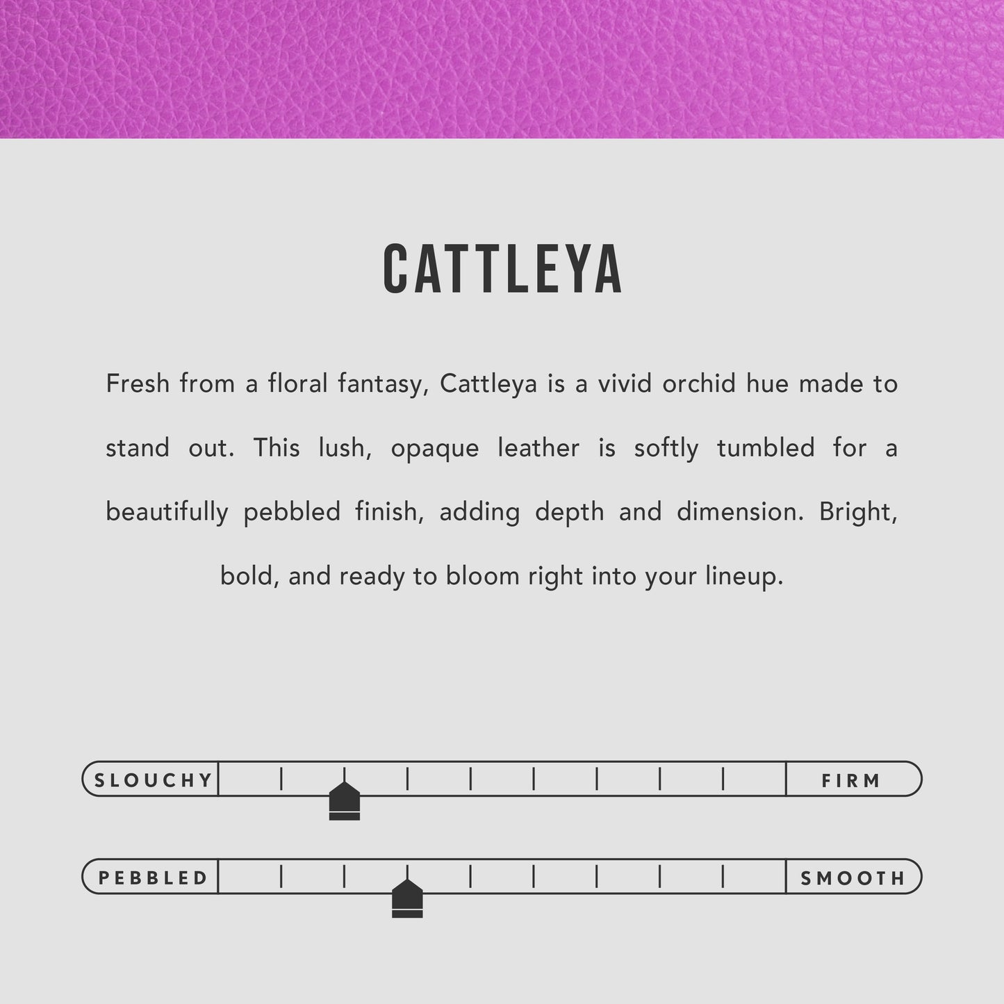 Wildflower Cattleya | infographic