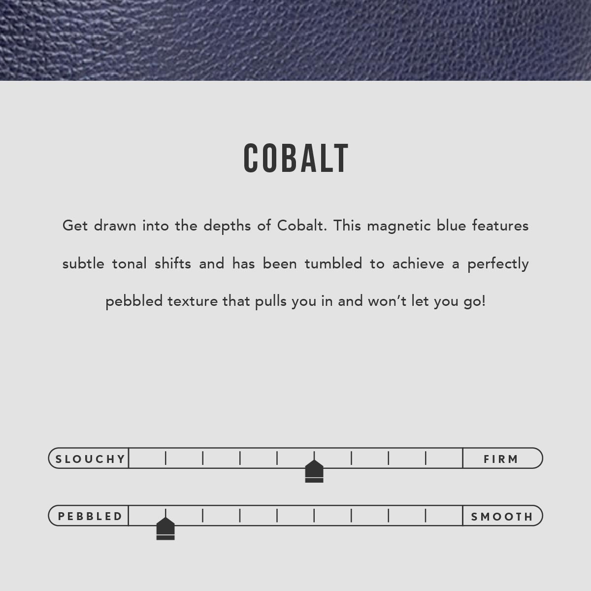 Wildflower Cobalt | infographic
