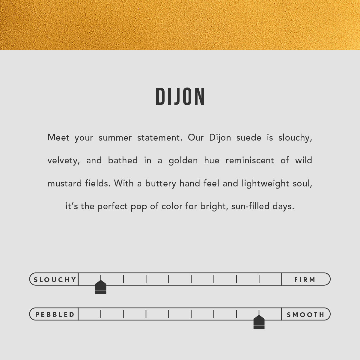 Dijon | infographic