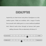 Eucalyptus | infographic