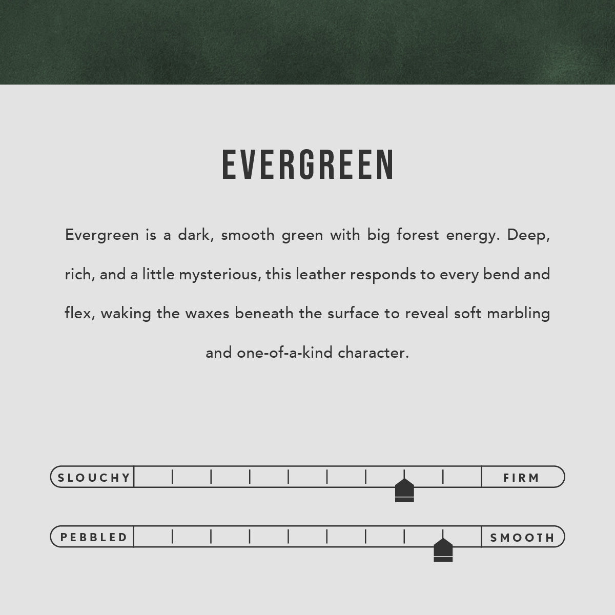 Evergreen | infographic