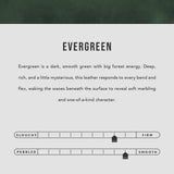 Evergreen | infographic