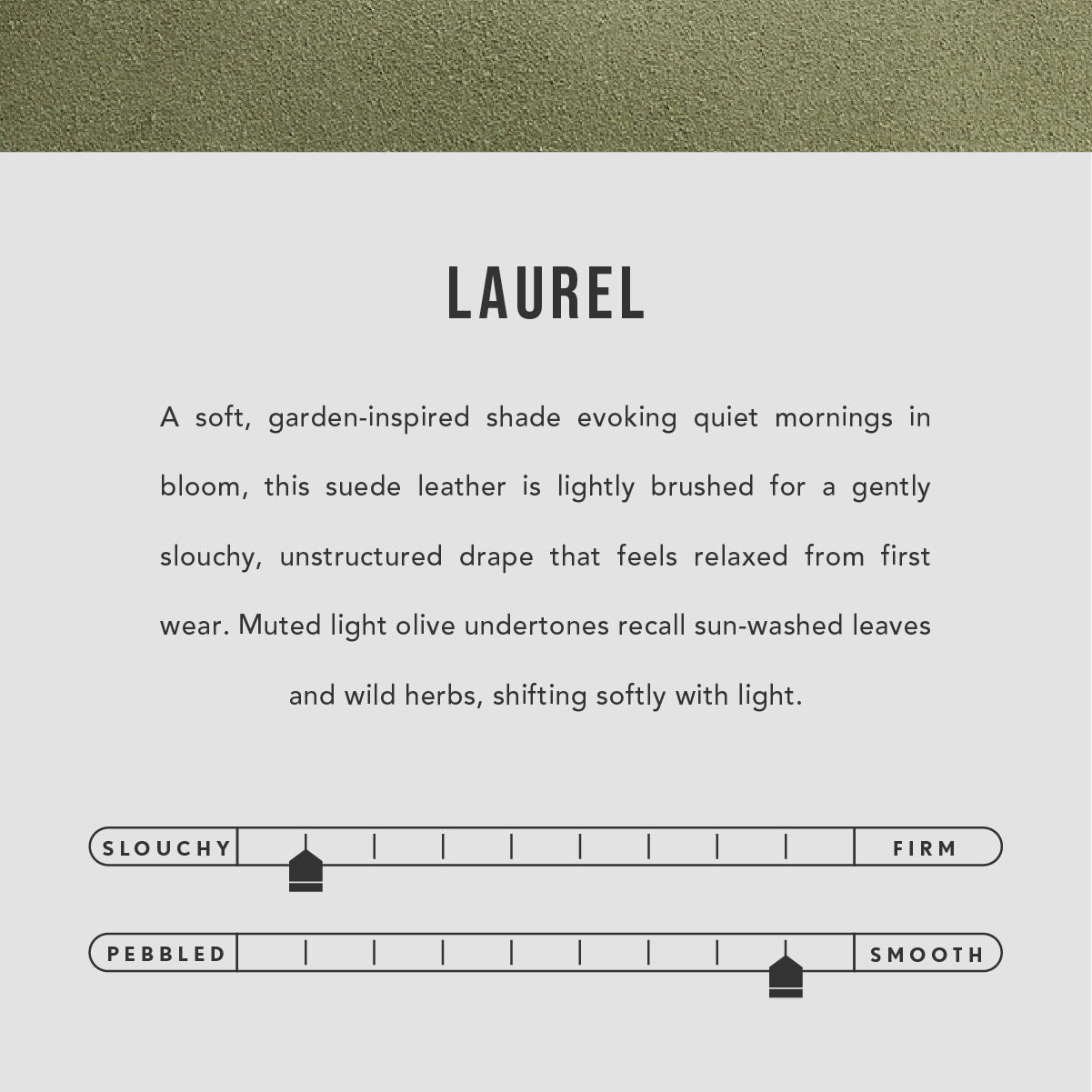 Laurel | infographic