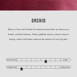 Orchid | infographic