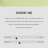 Shadow Lime | infographic