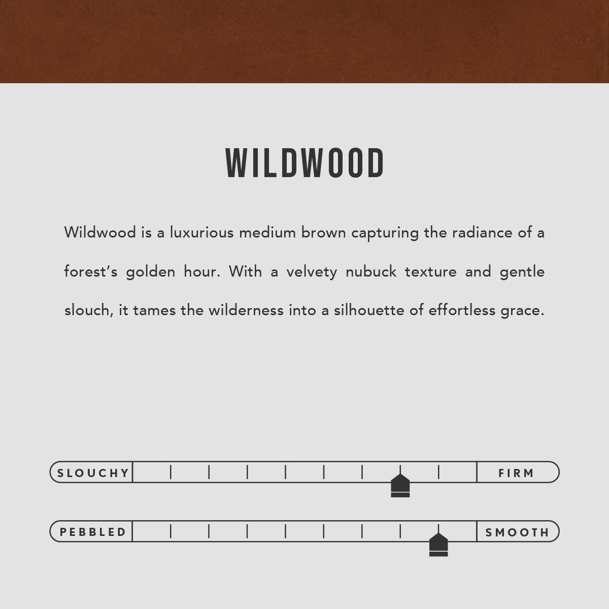 Wildwood | infographic