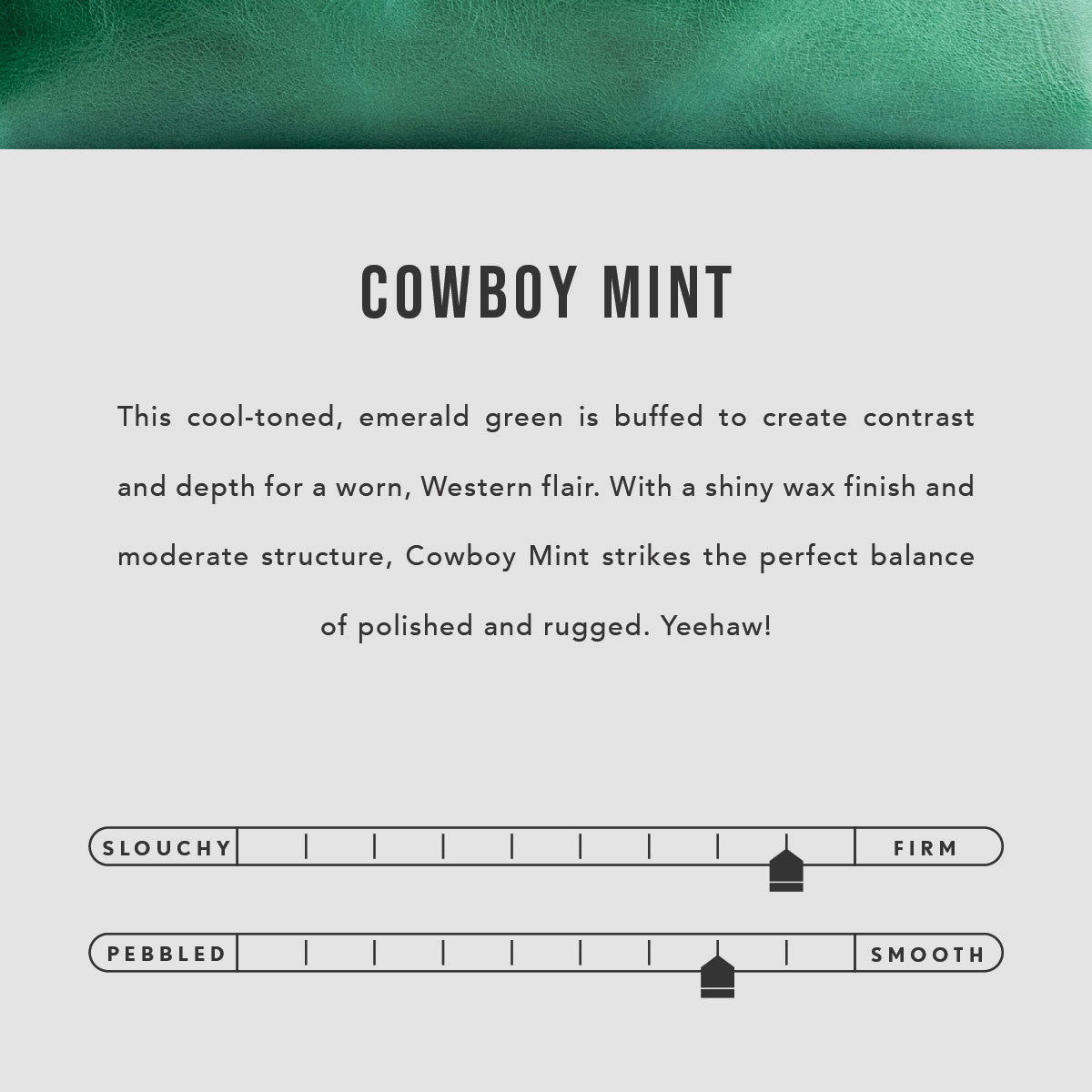 All Color: Cowboy Mint | infographic