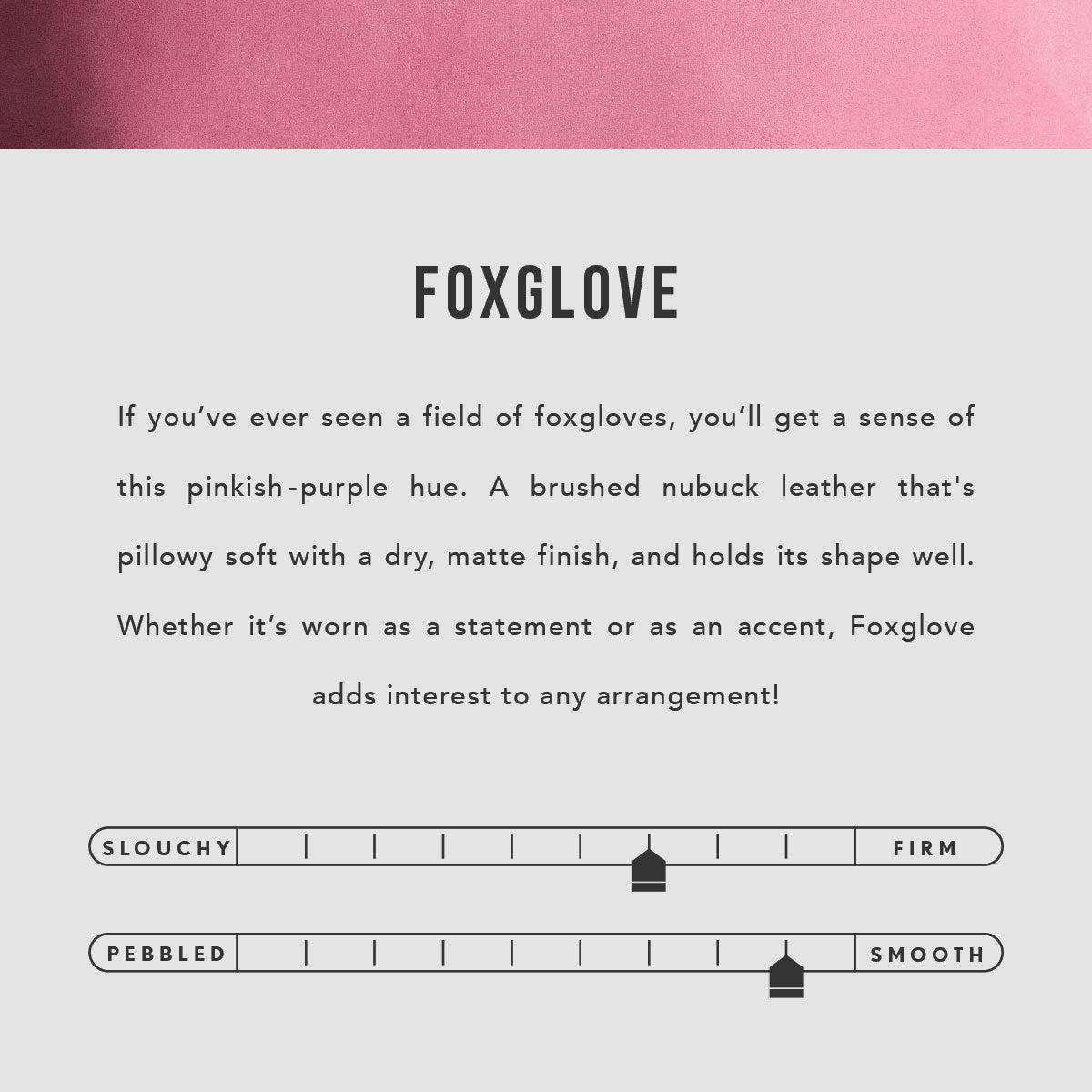 Foxglove*Classic | infographic
