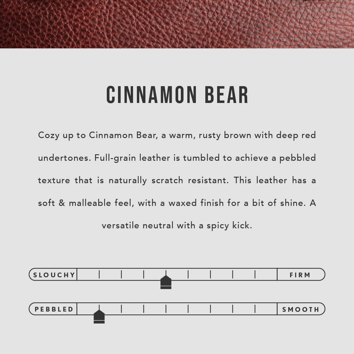 All Color: Cinnamon Bear | infographic