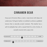 Cinnamon Bear | infographic