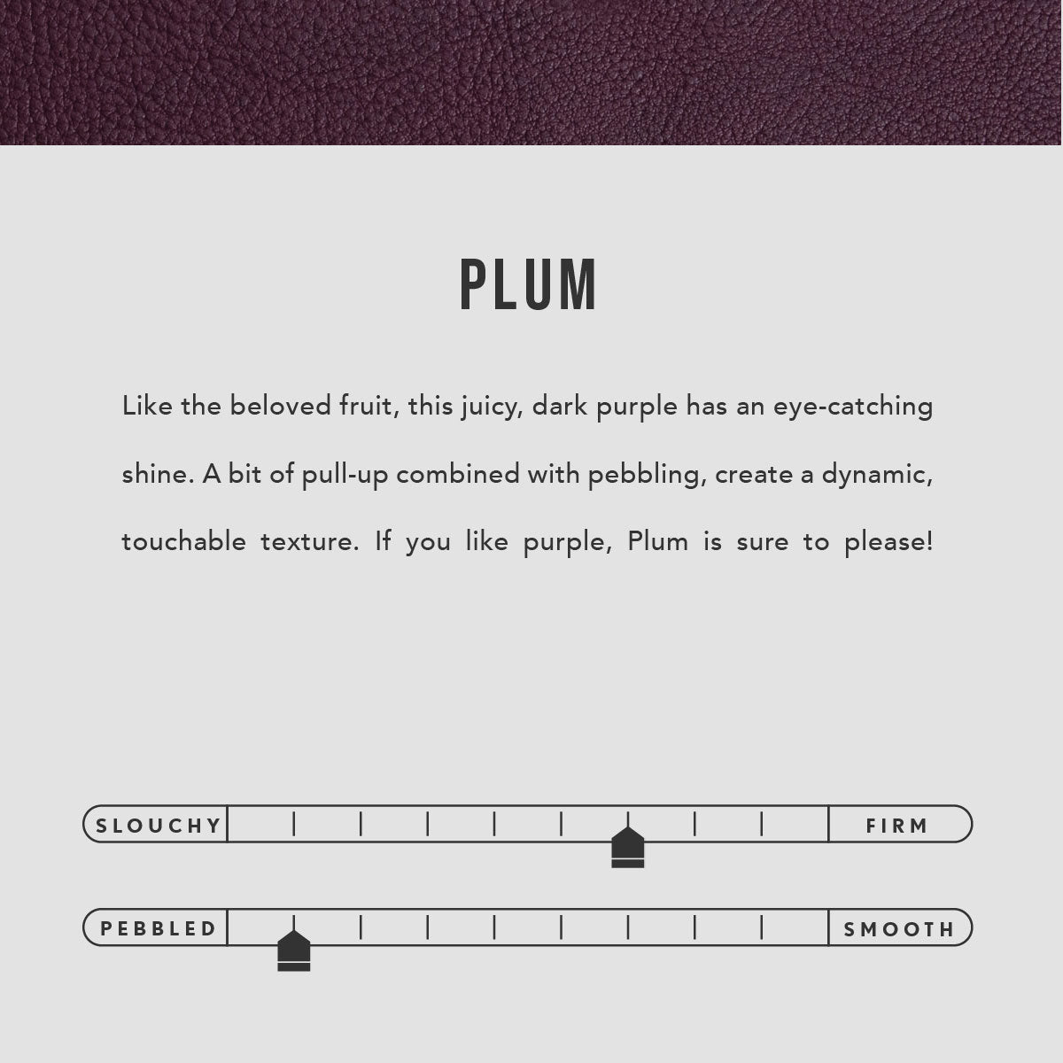 Plum*Classic | infographic