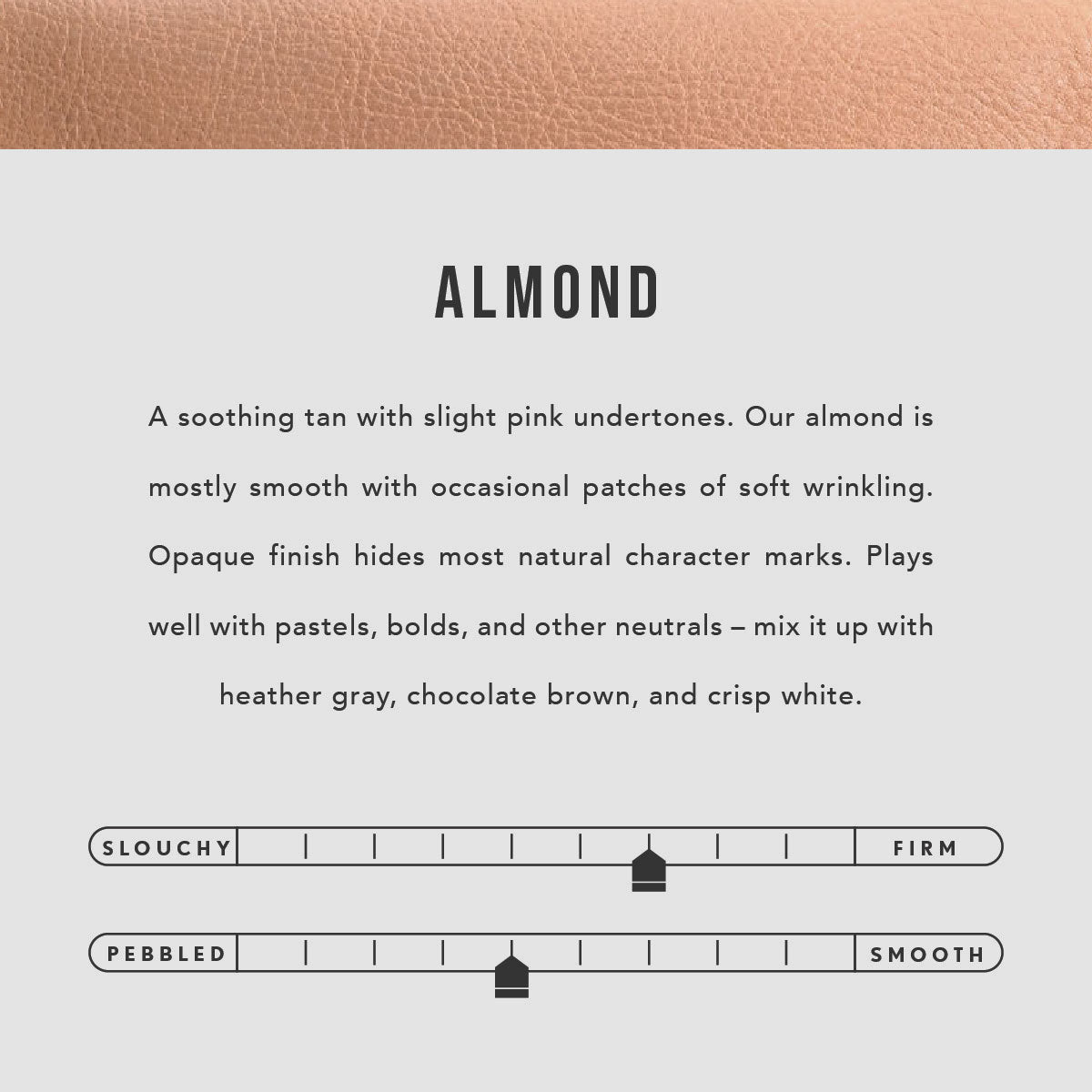 All Color: Almond | infographic