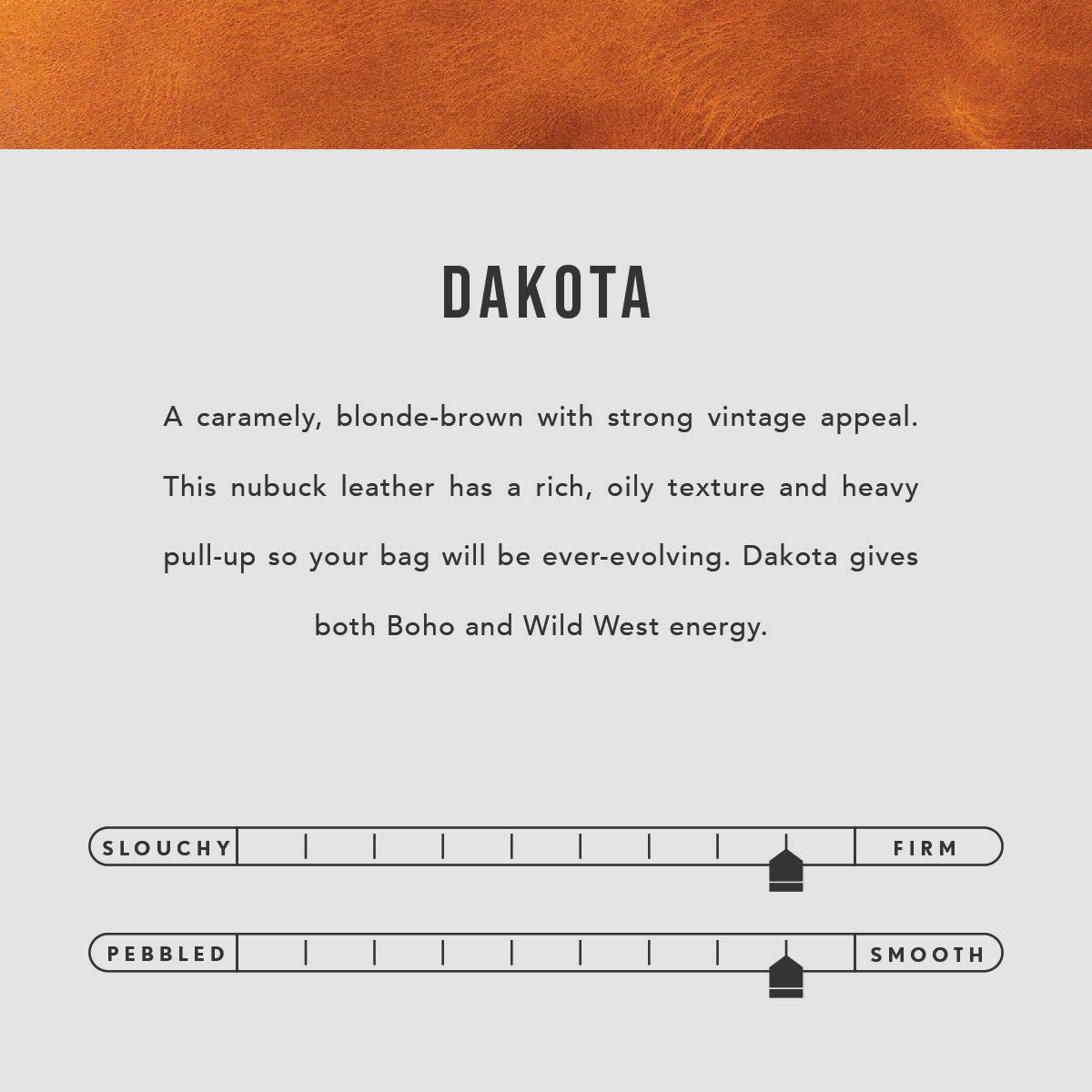 Dakota | infographic