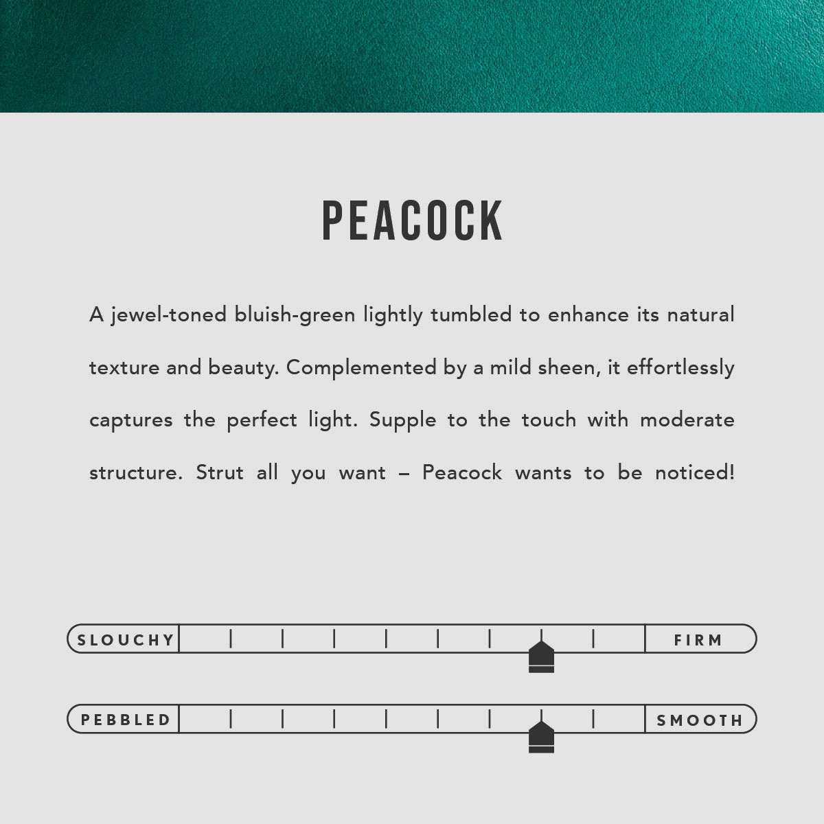 All Color: Peacock | infographic