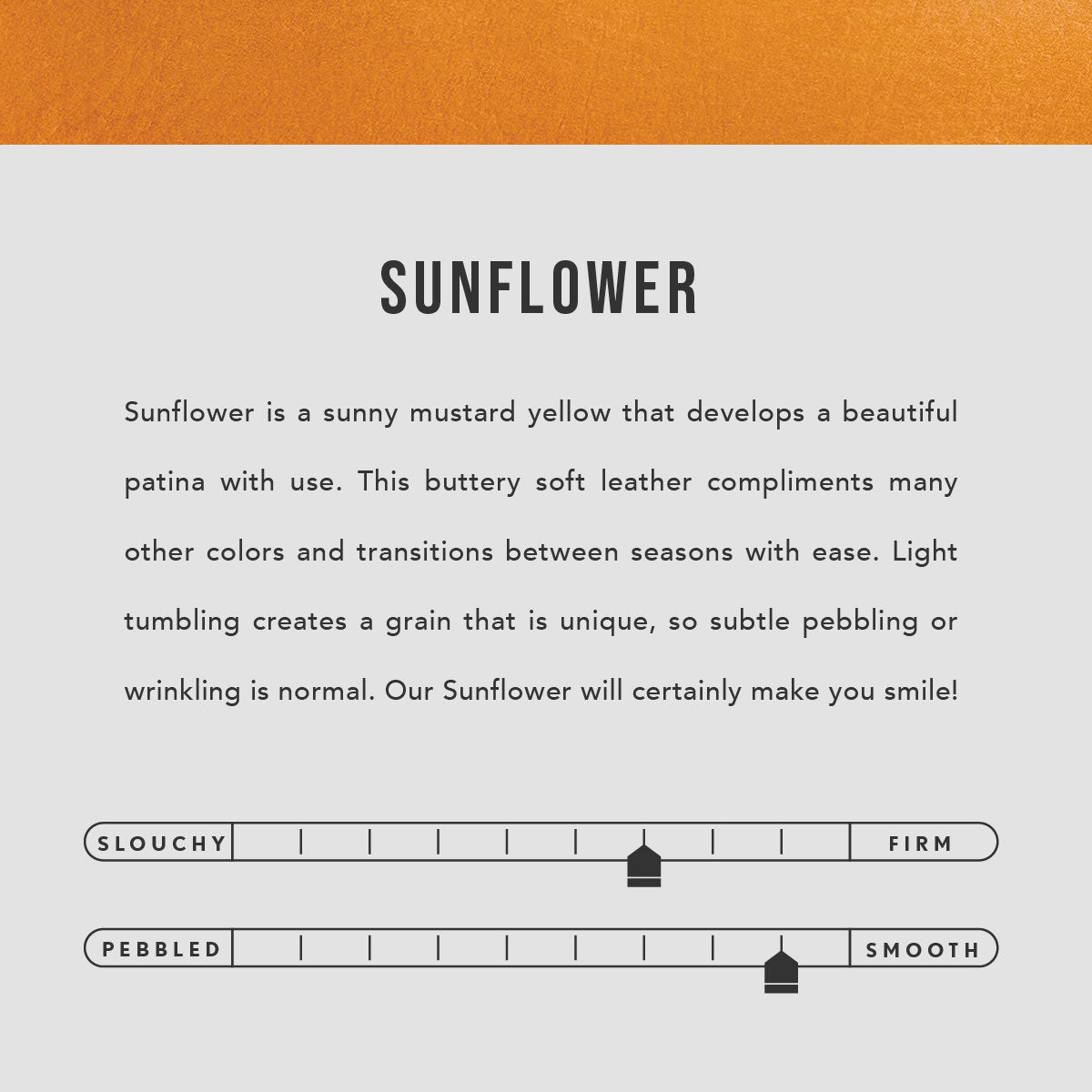 Sunflower | infographic