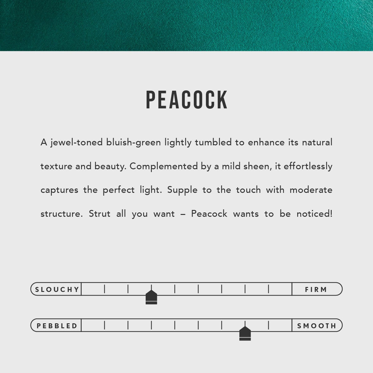Peacock | infographic