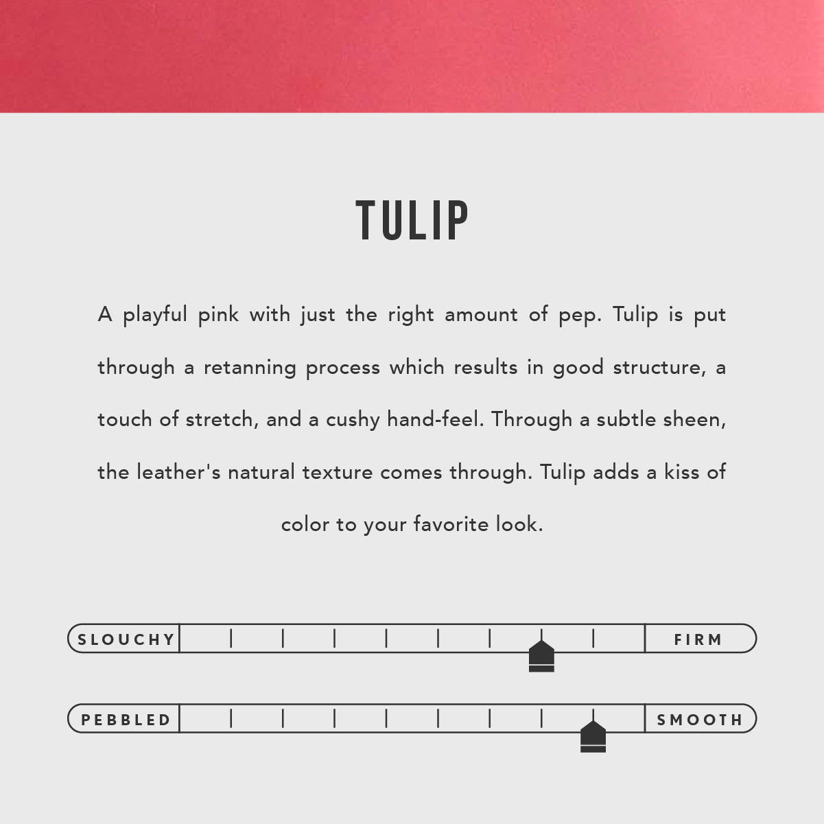 All Color: Tulip | infographic