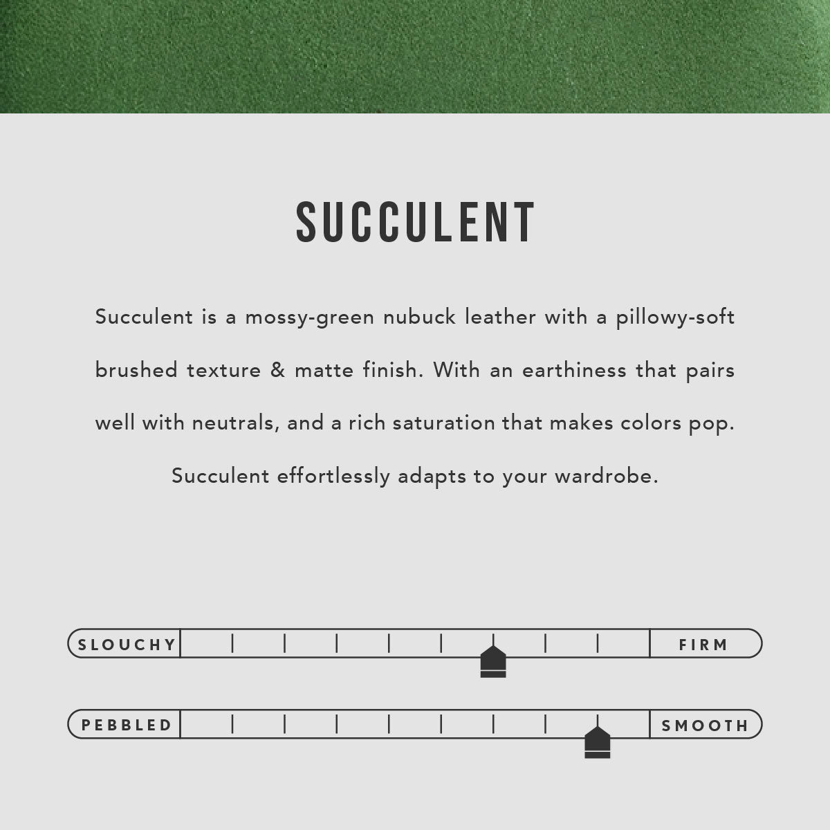All Color: Succulent | infographic