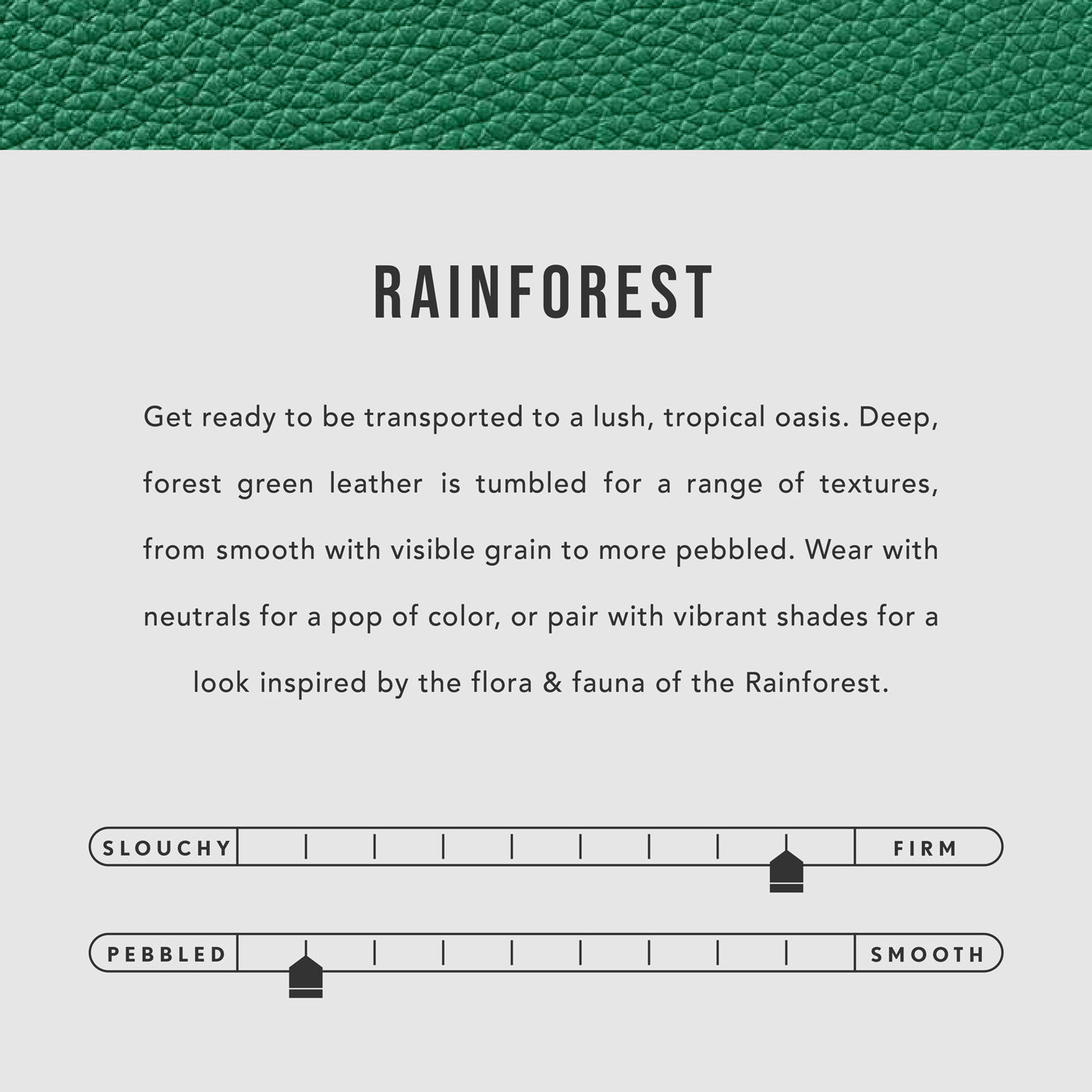 All Color: Rainforest | infographic
