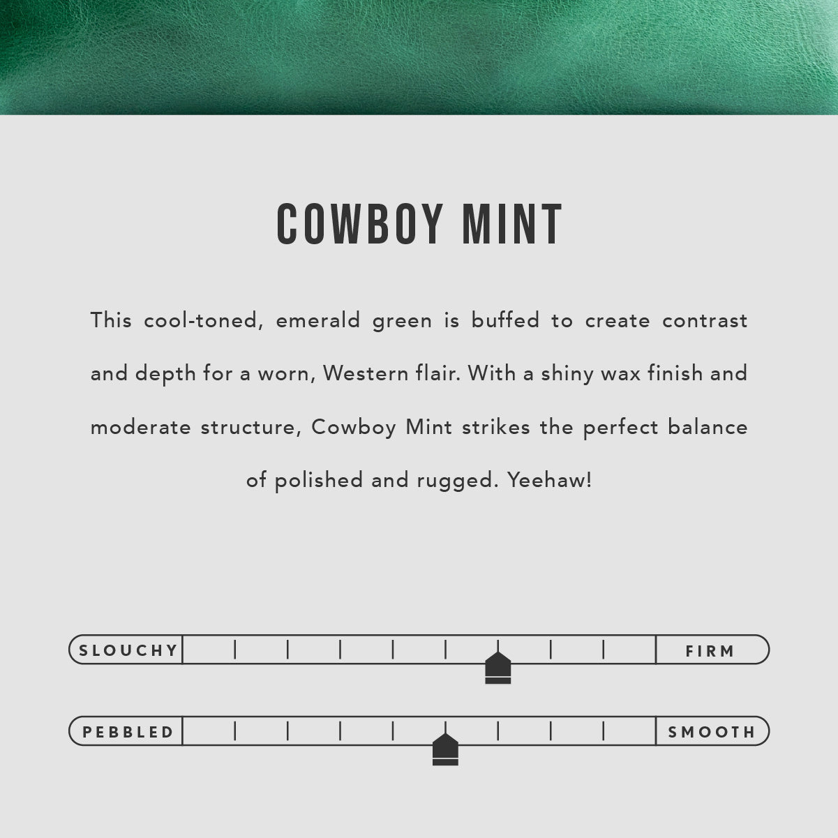 All Color: Cowboy Mint | infographic