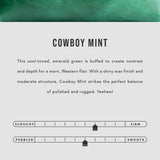 All Color: Cowboy Mint | infographic