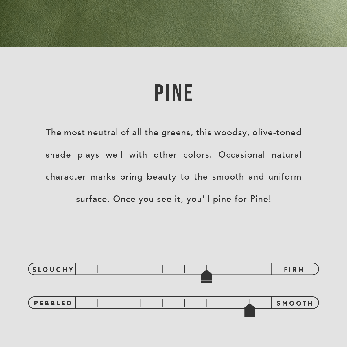 All Color: Pine | infographic