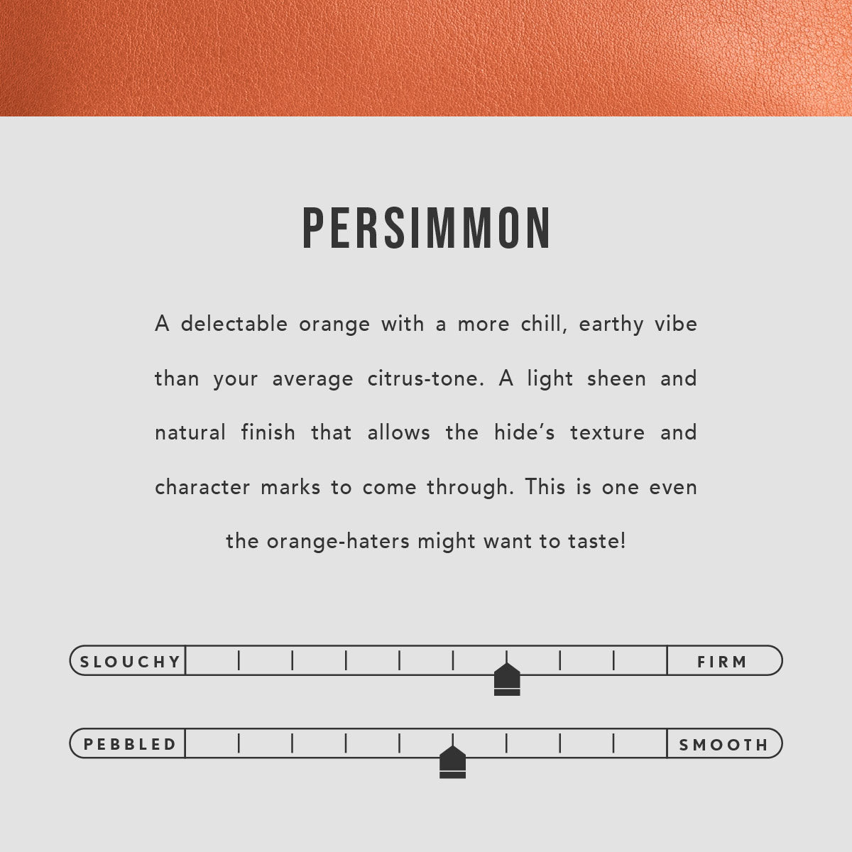 Persimmon | infographic