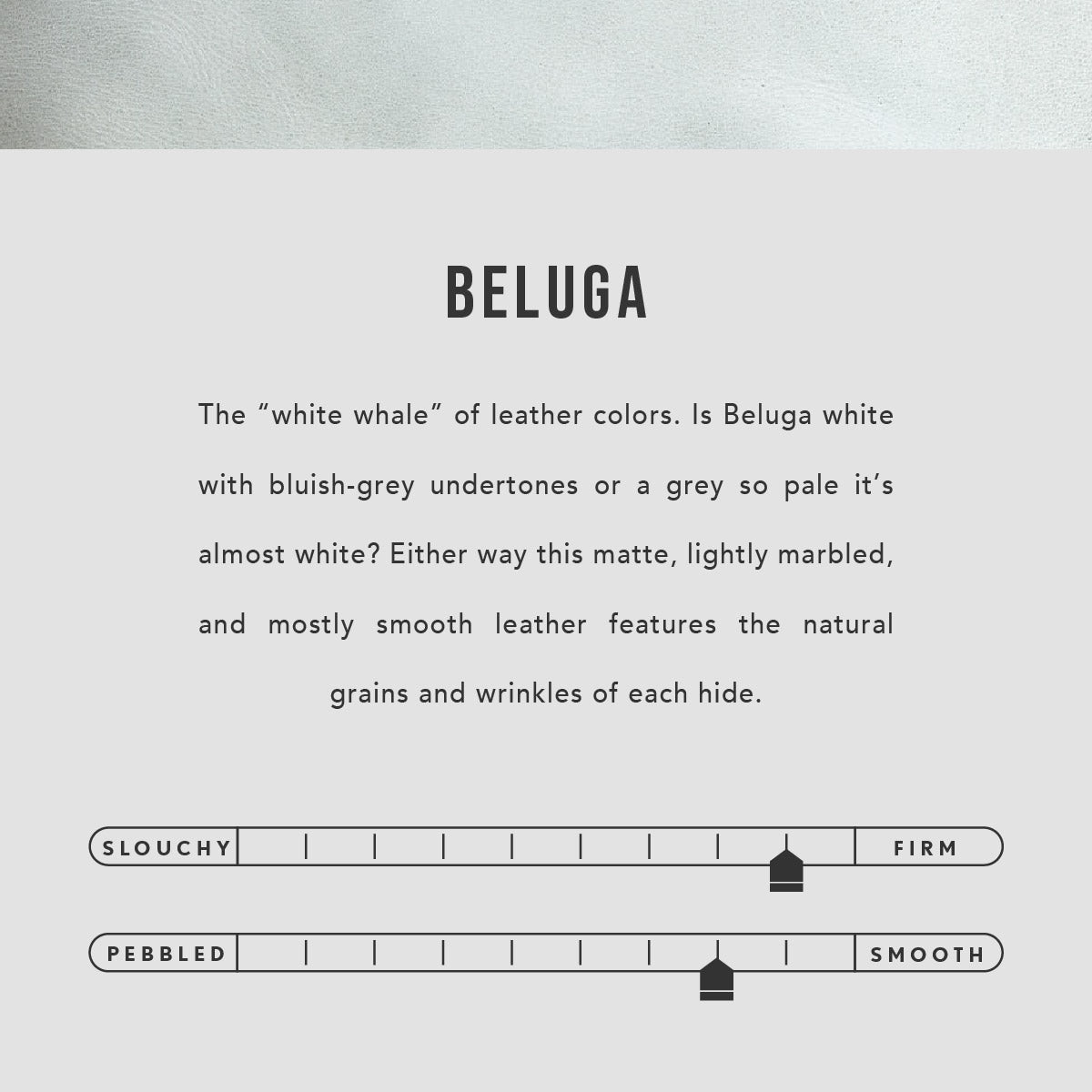Beluga | infographic