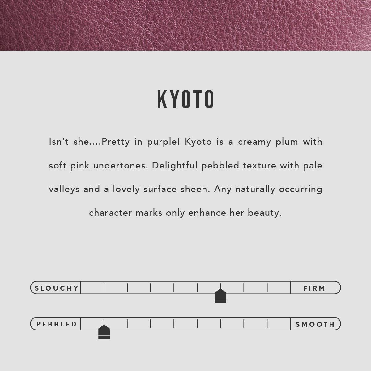 All Color: Kyoto | infographic