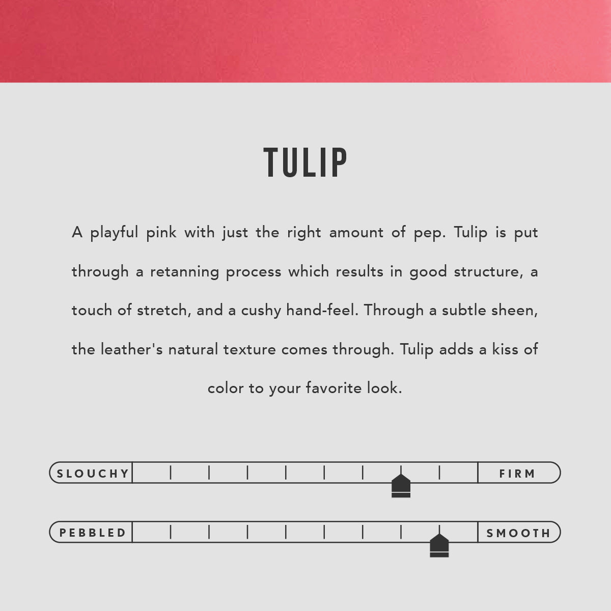 Tulip | infographic