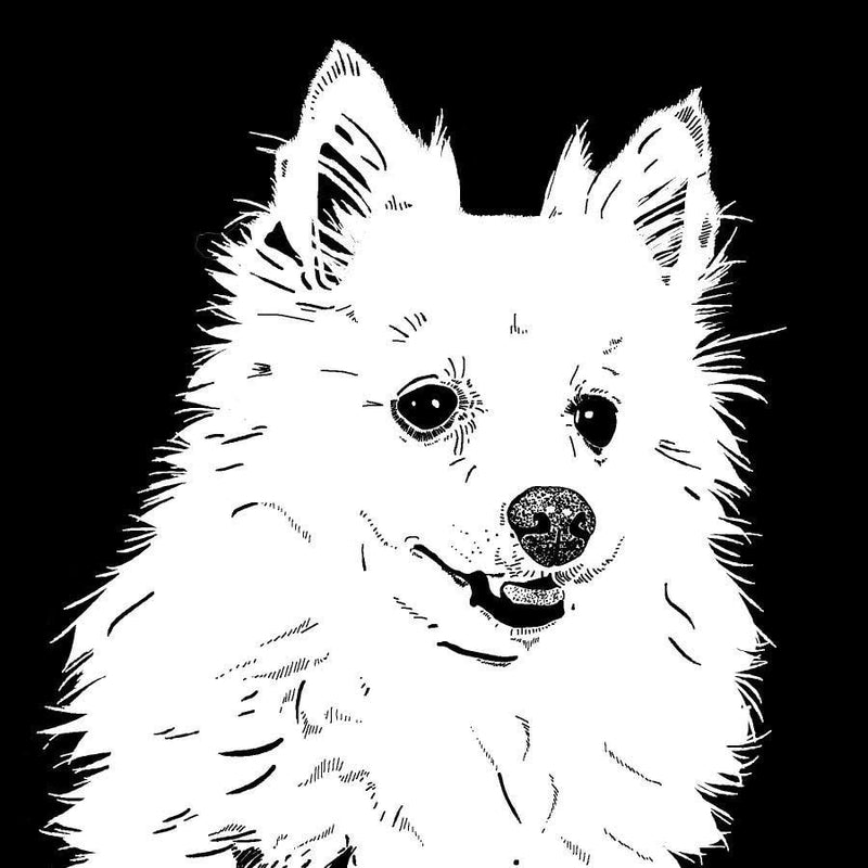 Suki Winki