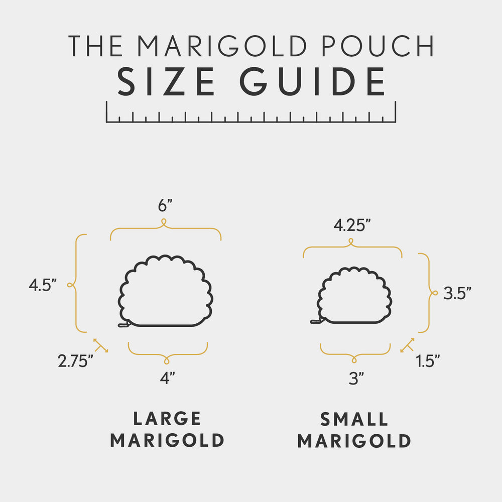 All Variants | infographic