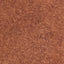 Acorn