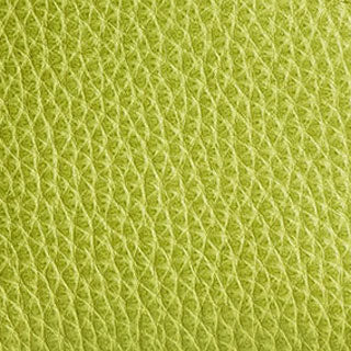 Wasabi