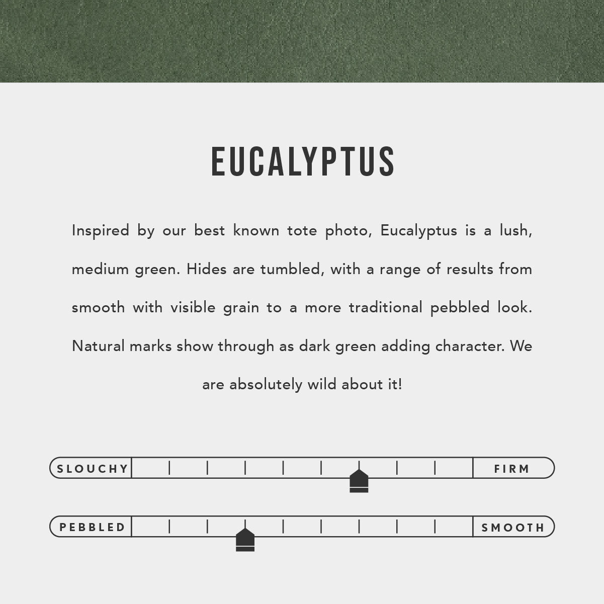 All Color: Eucalyptus | infographic