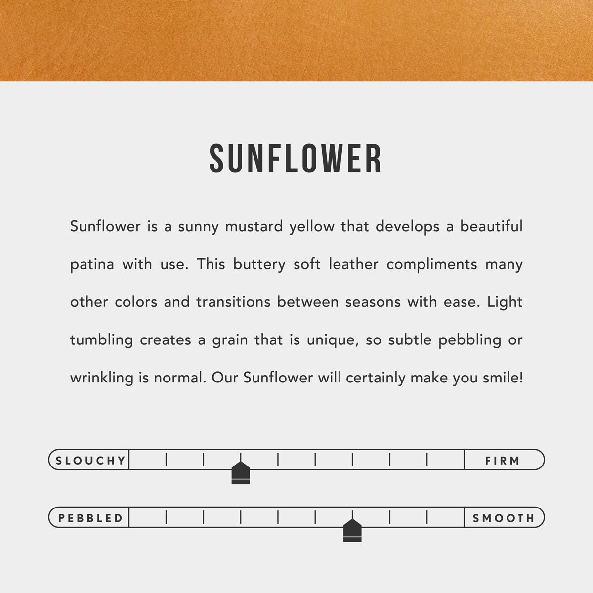 All Color: Sunflower | infographic